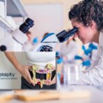 velsipity